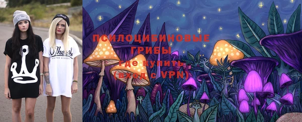 крисы Алексин