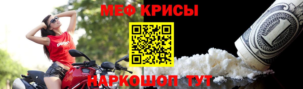 МЕФ  Дубна