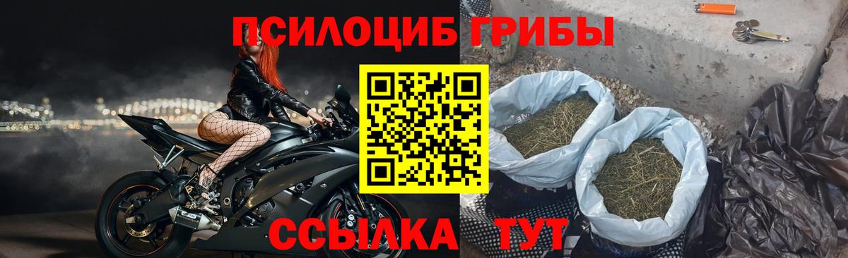Псилоцибиновые грибы MAGIC MUSHROOMS  Вход с VPN  Дубна 