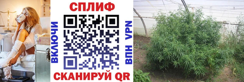 Марихуана тримм  Дубна 